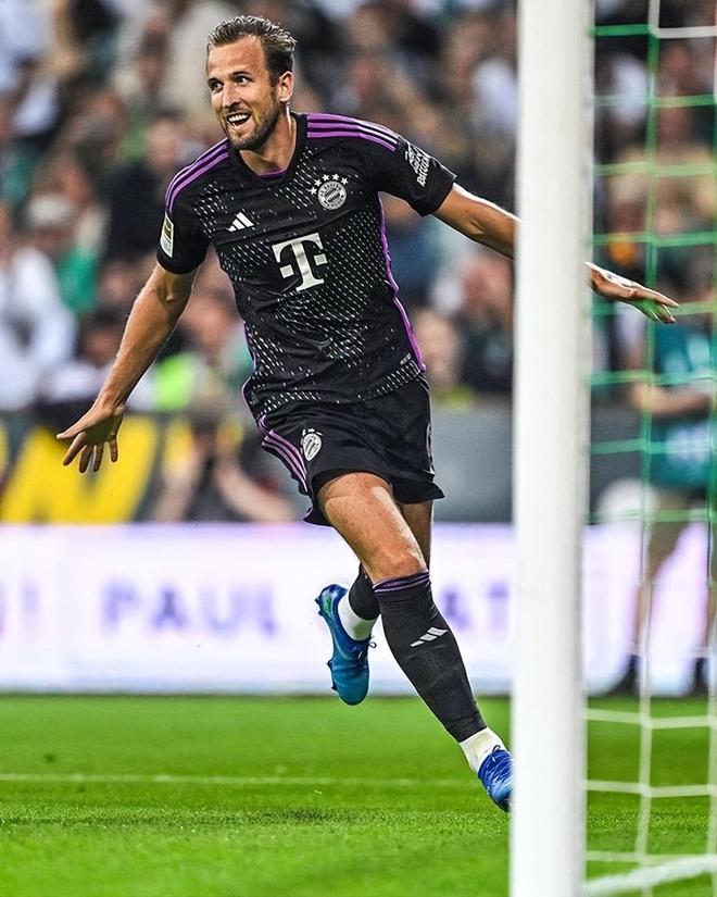 荷甲教练的 荷甲教练的