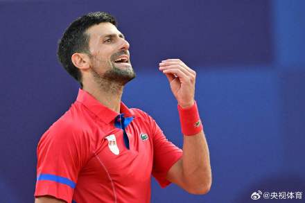 费莱尼的伤 费莱尼的伤