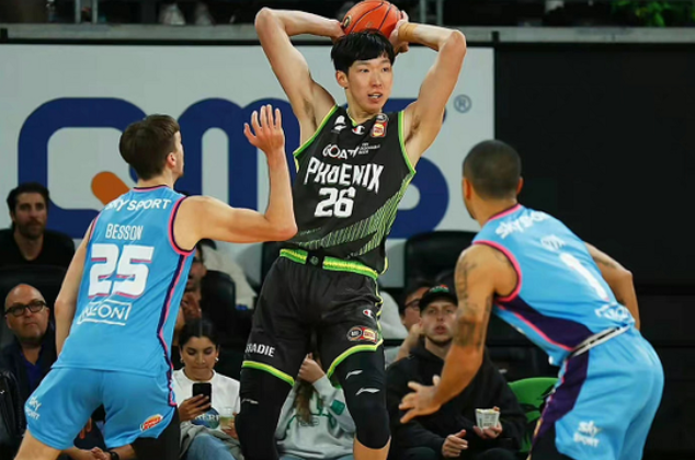 向的心理预 向的心理预