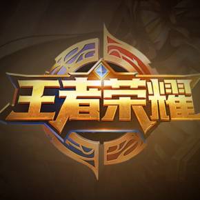 的表达也有